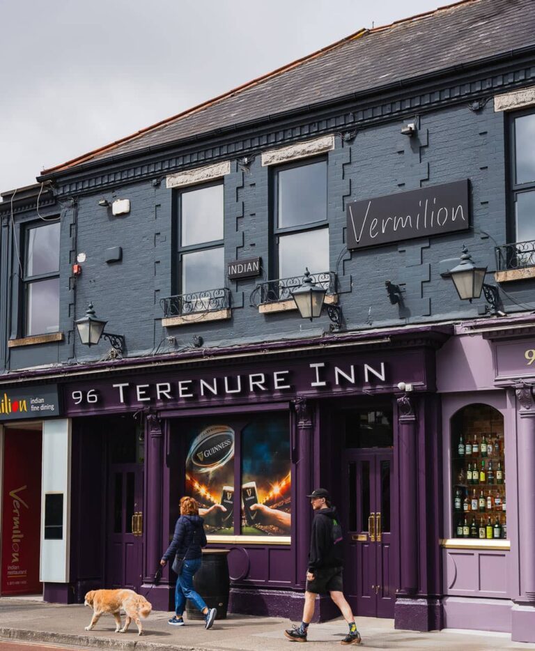 beer garden bar restaurant terenure dublin 062